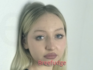 Breefudge