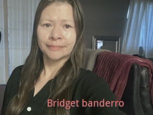 Bridget_banderro