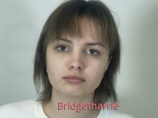 Bridgetharrie