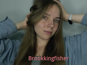 Brookkingfisher