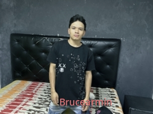 Brucearmin