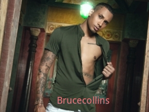 brucecollins Esthelove Adult