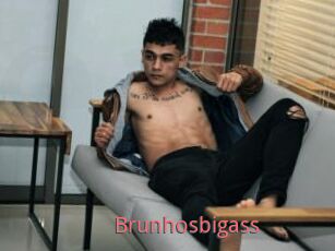 Brunhosbigass