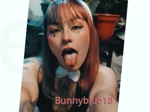 Bunnyblue18