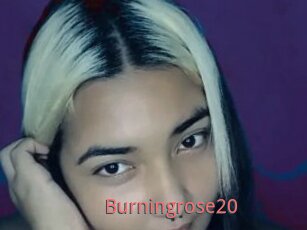 Burningrose20