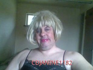 CDJANINE1182