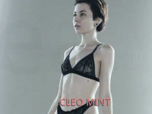 CLEO_MINT