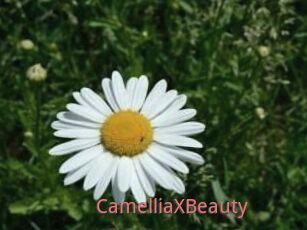 Camellia_XBeauty