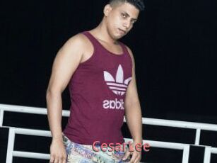 CesarLee
