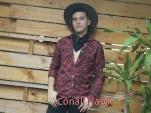 Conall_Hawk