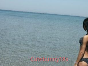 Cutebunny18x