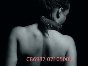 C86987-07105003