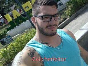Calicheneitor
