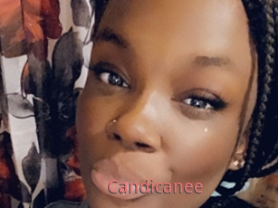 Candicanee