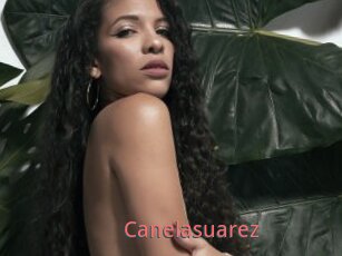 Canelasuarez