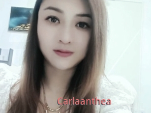 Carlaanthea