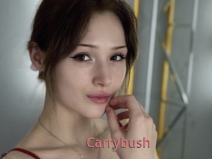 Carrybush