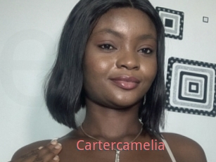Cartercamelia