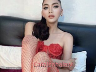 Cataleahalawi