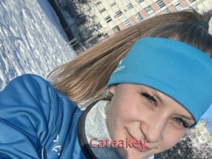 Cateakey
