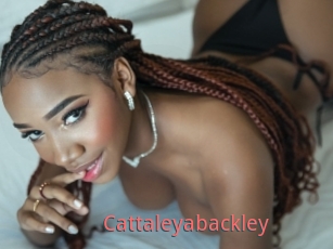 Cattaleyabackley