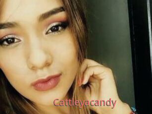 Cattleyacandy