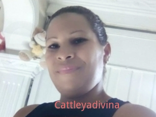 Cattleyadivina