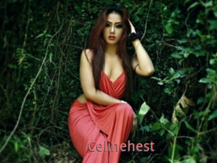 Celinehest