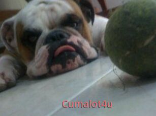 Cumalot4u
