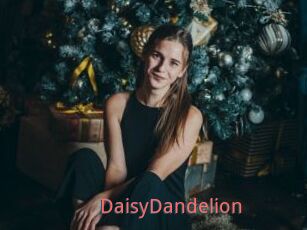 DaisyDandelion