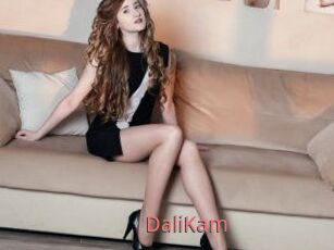 DaliKam