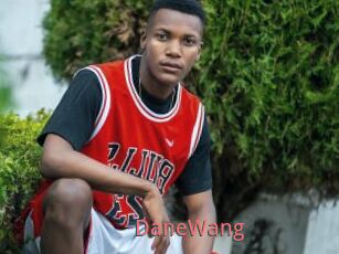 DaneWang