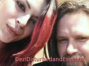 DeziDisturbedandEsection