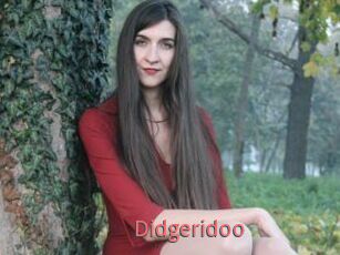Didgeridoo