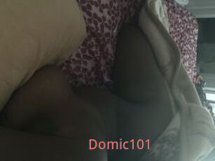 Domic101