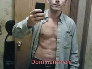 Dominantmale
