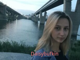 Daisybufkin
