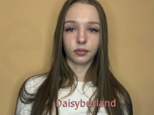 Daisyburland