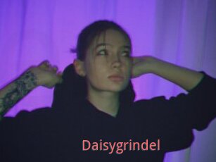 Daisygrindel