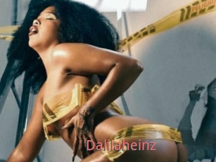 Dalilaheinz