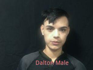 Dalton_Male