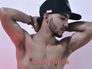 David_harlow
