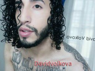 Davidvolkova