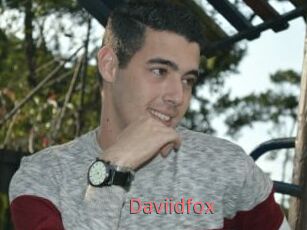 Daviidfox