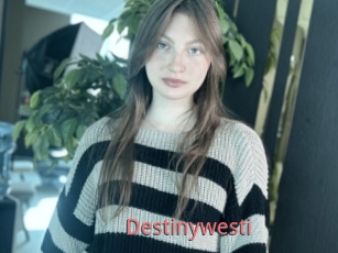 Destinywesti