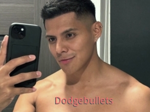 Dodgebullets