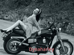 Dynaharley