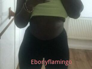 Ebony_flamingo