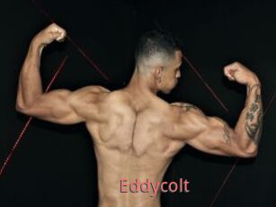 Eddycolt