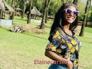 Elainecarsim